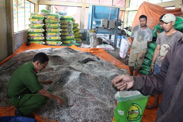 Giải pháp ngăn chặn sản xuất, tiêu thụ phân bón giả khu vực Tây Nguyên. (17/01/2018)